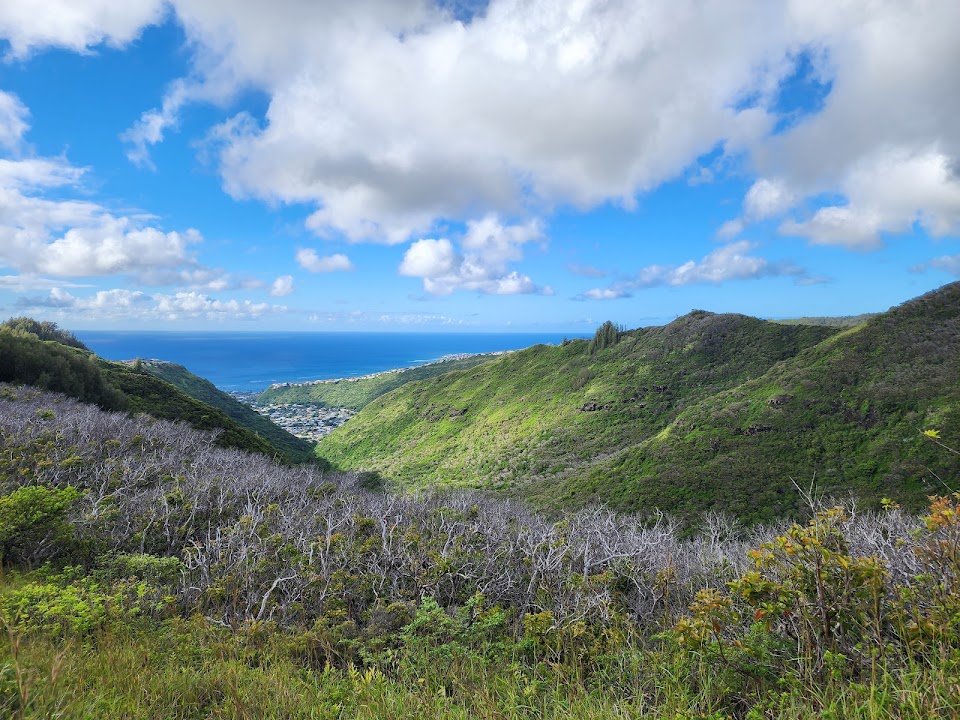 Hawaiʻi Loa Ridge Trail