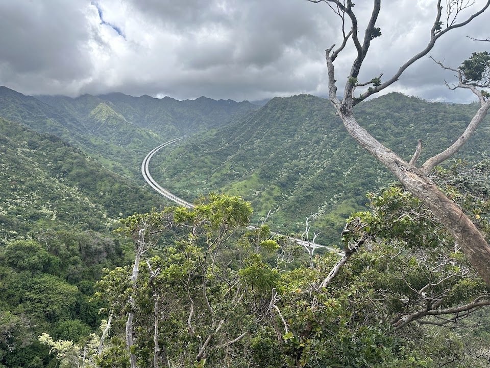 ʻAiea Ridge Trail