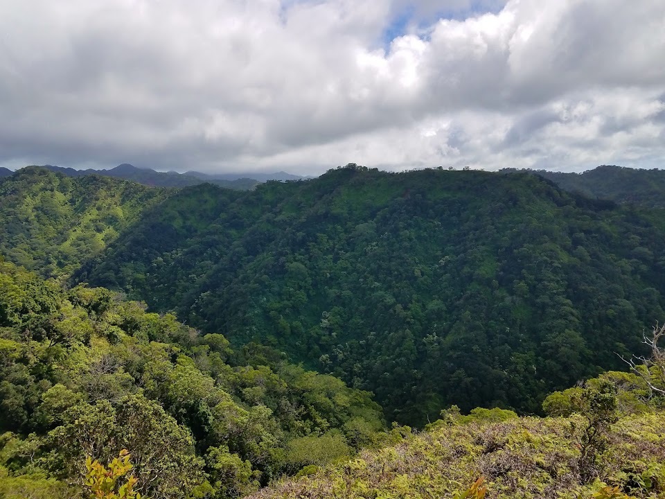 ʻEwa Forest Reserve