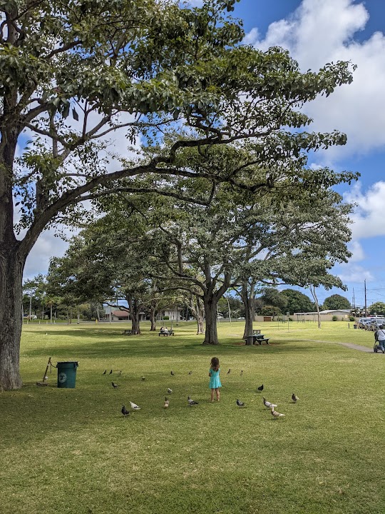Pōhākupu Mini Park
