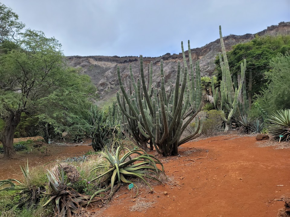 Koko Crater Botanical Garden