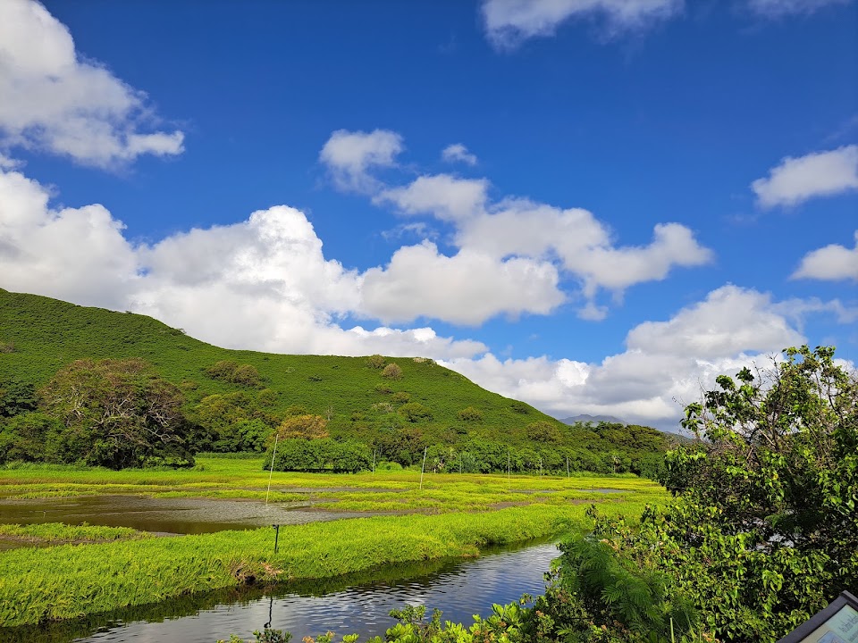 Hāmākua Marsh Wildlife Sanctuary (Pu‘u o ‘Ehu)