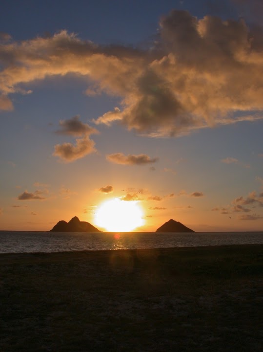 Travel To Paradise - Hawaii Travel Agents