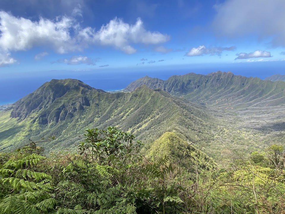 Mt. Kaʻala Hiking Trail