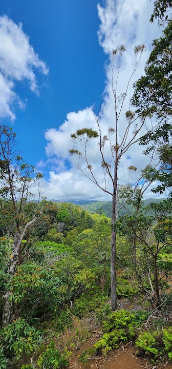 Manana Trail head
