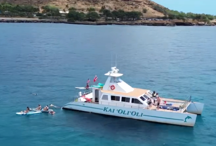 Ocean Joy Cruises