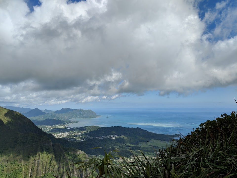 Kāne‘Ohe Forest Reserve