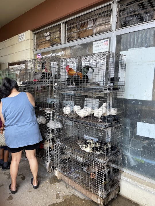 Kaneohe Farm Supplies