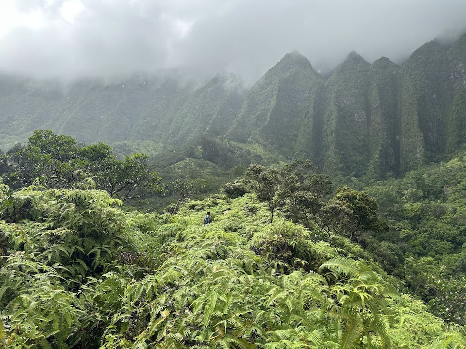Maunawili Falls via Maunawili Demonstration Trail