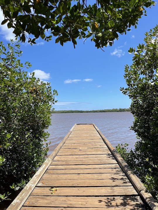 Kapapapuhi Point Park