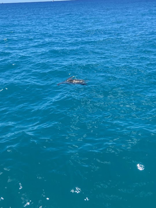 Turtle Canyon