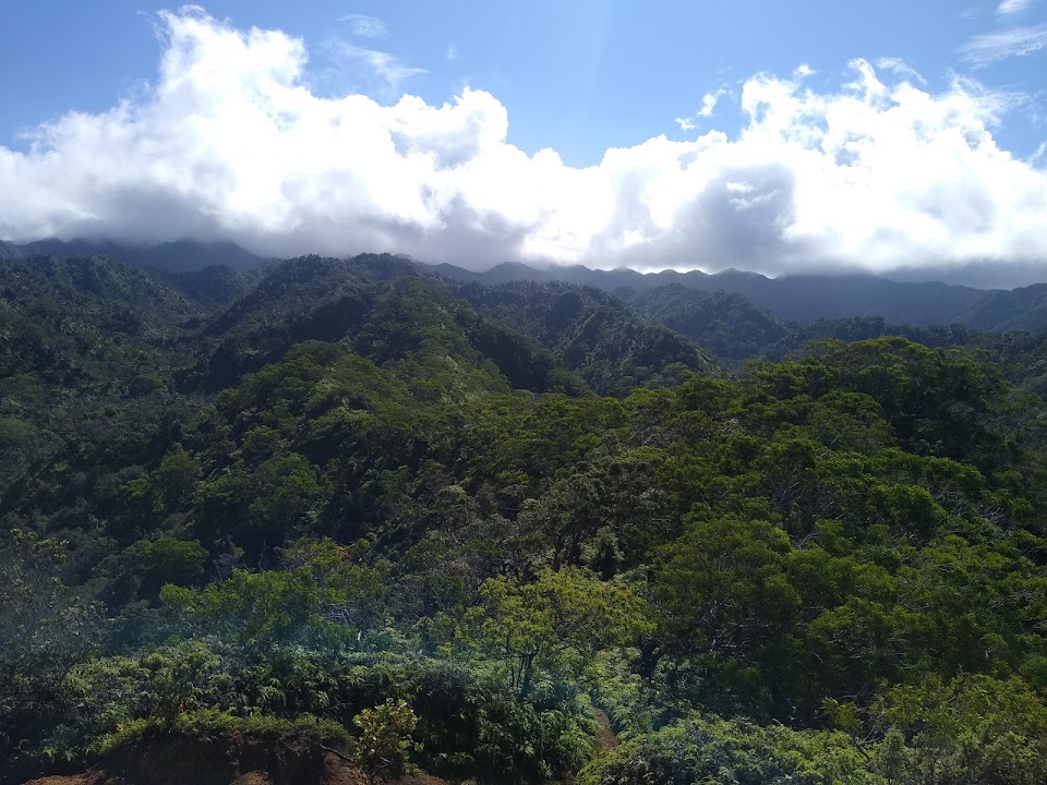 ʻIliahi Ridge Trail