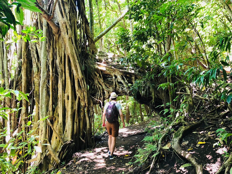 ʻUalakaʻa Trail