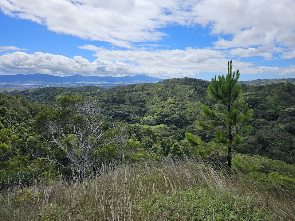 Mānana Ridge Trail