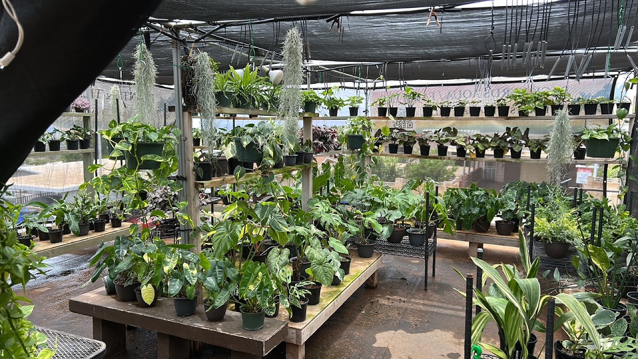 Back Yards Aqua Farm LLC