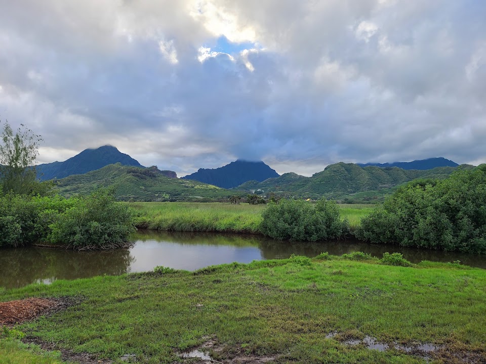Kawai Nui Hiking Trail