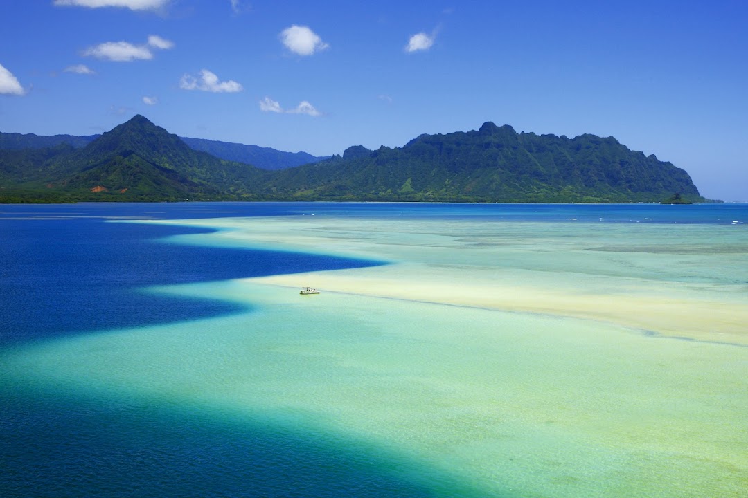 CAPTAIN BRUCE Kaneohe